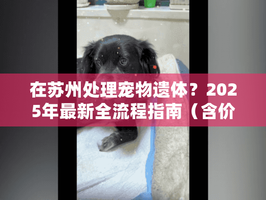 在苏州处理宠物遗体？2025年最新全流程指南（含价格参考）