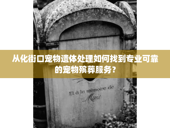 从化街口宠物遗体处理如何找到专业可靠的宠物殡葬服务？