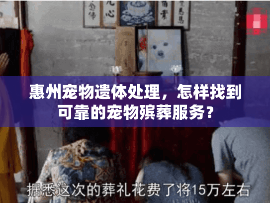 惠州宠物遗体处理，怎样找到可靠的宠物殡葬服务？