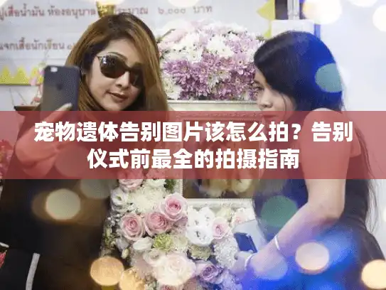 宠物遗体告别图片该怎么拍？告别仪式前最全的拍摄指南