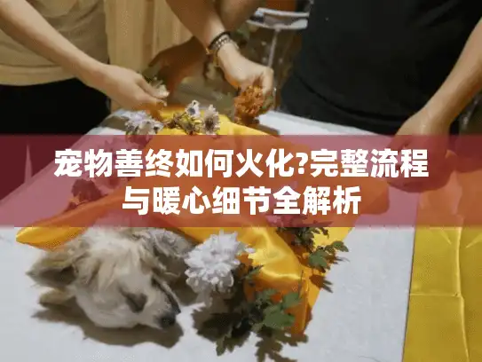 宠物善终如何火化?完整流程与暖心细节全解析