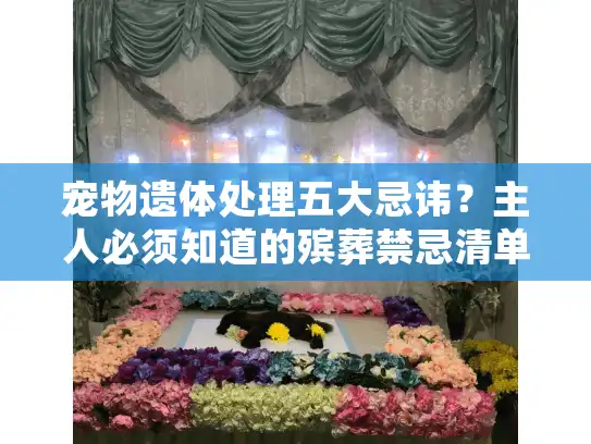 宠物遗体处理五大忌讳？主人必须知道的殡葬禁忌清单