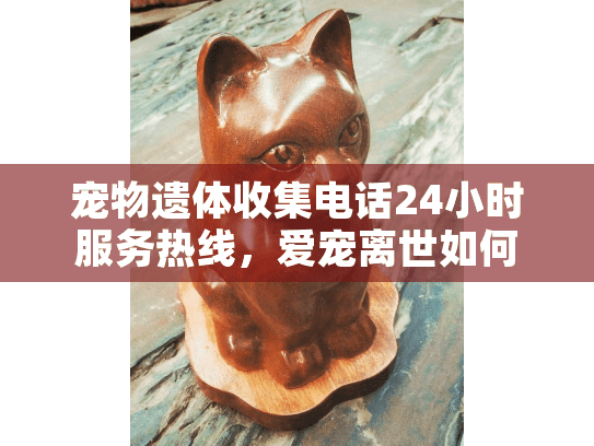 宠物遗体收集电话24小时服务热线，爱宠离世如何快速寻求专业善后？