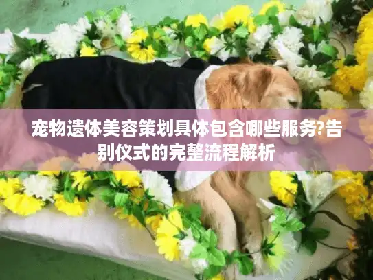 宠物遗体美容策划具体包含哪些服务?告别仪式的完整流程解析 宠物遗体美容策划具体包含哪些服务?告别仪式的完整流程解析