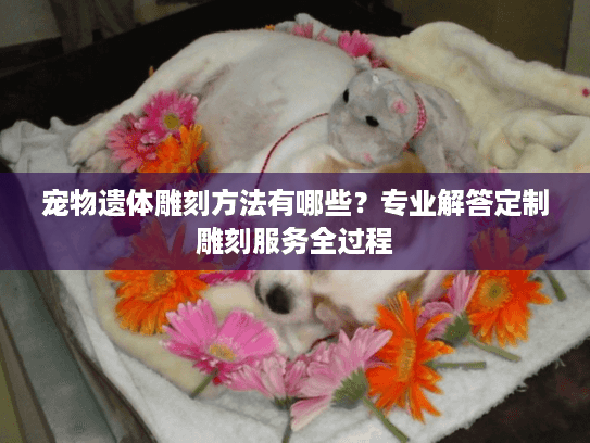 宠物遗体雕刻方法有哪些？专业解答定制雕刻服务全过程