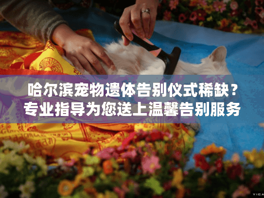 哈尔滨宠物遗体告别仪式稀缺？专业指导为您送上温馨告别服务