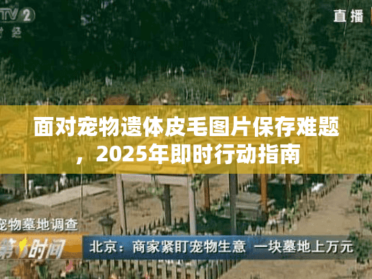 面对宠物遗体皮毛图片保存难题，2025年即时行动指南