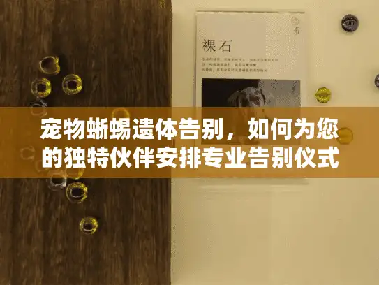 宠物蜥蜴遗体告别，如何为您的独特伙伴安排专业告别仪式？