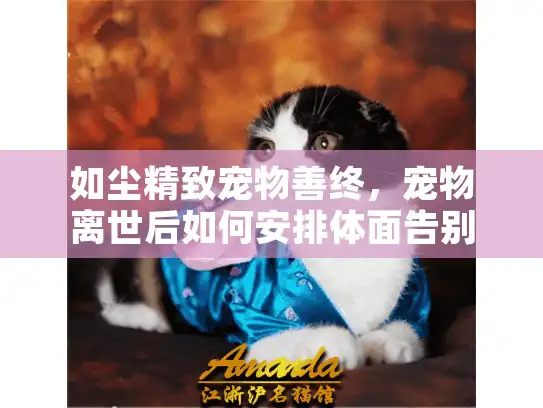 如尘精致宠物善终，宠物离世后如何安排体面告别仪式？