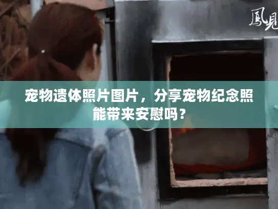 宠物遗体照片图片,分享宠物纪念照能带来安慰吗? 宠物遗体照片图片,分享宠物纪念照能带来安慰吗?