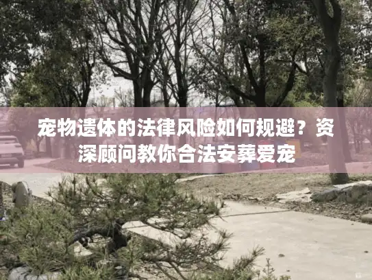 宠物遗体的法律风险如何规避？资深顾问教你合法安葬爱宠