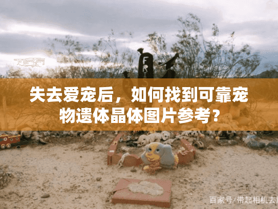 失去爱宠后，如何找到可靠宠物遗体晶体图片参考？