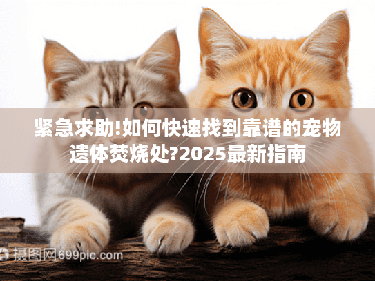 紧急求助!如何快速找到靠谱的宠物遗体焚烧处?2025最新指南