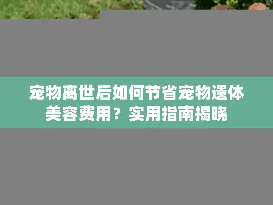 宠物离世后如何节省宠物遗体美容费用？实用指南揭晓