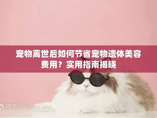 宠物离世后如何节省宠物遗体美容费用？实用指南揭晓