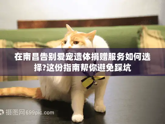 在南昌告别爱宠遗体捐赠服务如何选择?这份指南帮你避免踩坑