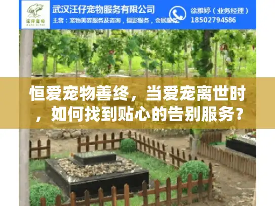 恒爱宠物善终，当爱宠离世时，如何找到贴心的告别服务？
