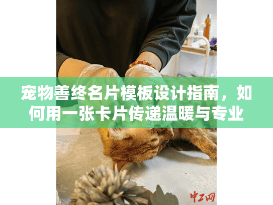 宠物善终名片模板设计指南，如何用一张卡片传递温暖与专业？
