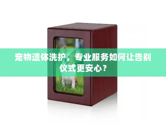 宠物遗体洗护，专业服务如何让告别仪式更安心？