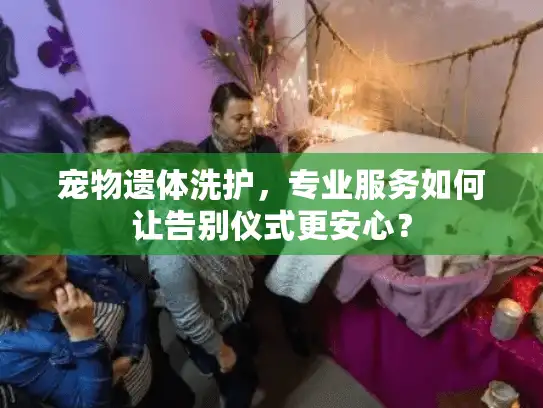 宠物遗体洗护，专业服务如何让告别仪式更安心？