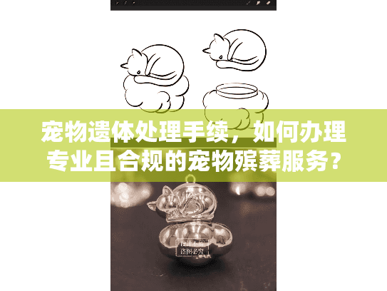 宠物遗体处理手续，如何办理专业且合规的宠物殡葬服务？