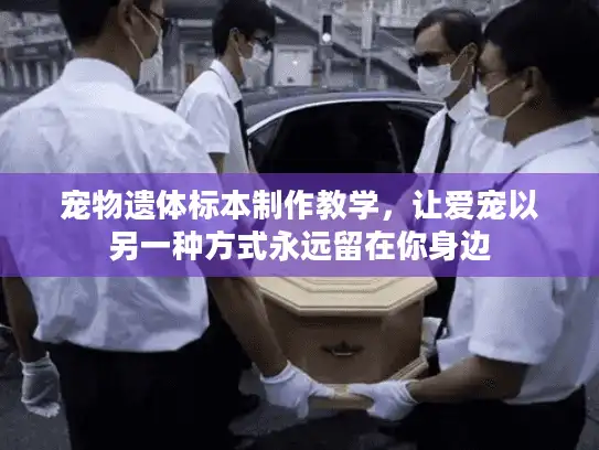 宠物遗体标本制作教学，让爱宠以另一种方式永远留在你身边