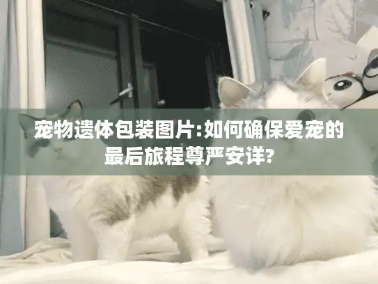 宠物遗体包装图片:如何确保爱宠的最后旅程尊严安详? 宠物遗体包装图片:如何确保爱宠的最后旅程尊严安详?