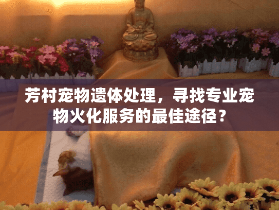 芳村宠物遗体处理，寻找专业宠物火化服务的最佳途径？