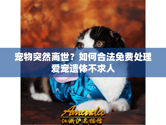 宠物突然离世？如何合法免费处理爱宠遗体不求人