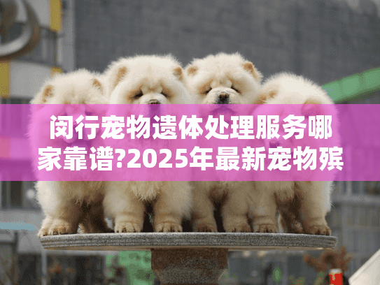 闵行宠物遗体处理服务哪家靠谱?2025年最新宠物殡葬指南