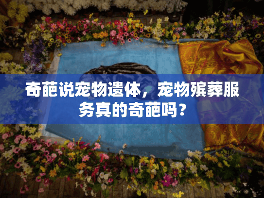 奇葩说宠物遗体，宠物殡葬服务真的奇葩吗？