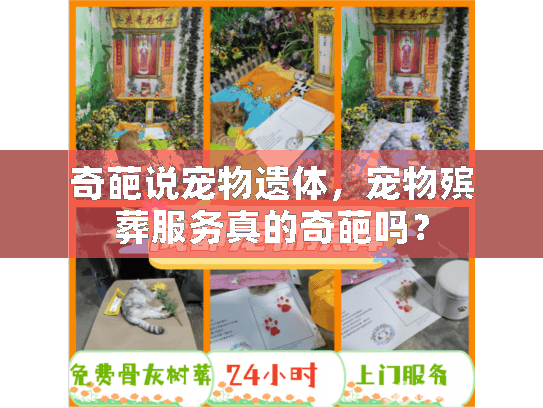 奇葩说宠物遗体，宠物殡葬服务真的奇葩吗？