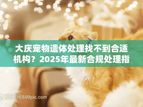 大庆宠物遗体处理找不到合适机构？2025年最新合规处理指南