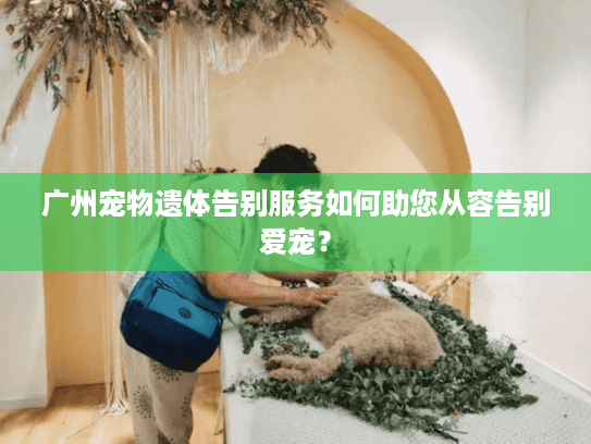 广州宠物遗体告别服务如何助您从容告别爱宠？