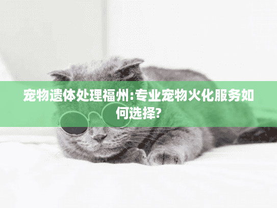 宠物遗体处理福州:专业宠物火化服务如何选择?