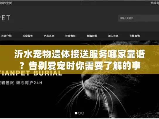 沂水宠物遗体接送服务哪家靠谱？告别爱宠时你需要了解的事