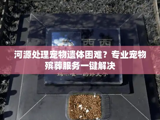 河源处理宠物遗体困难?专业宠物殡葬服务一键解决 河源处理宠物遗体困难?专业宠物殡葬服务一键解决