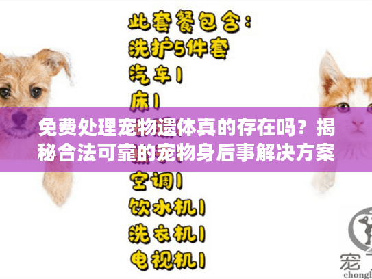 免费处理宠物遗体真的存在吗？揭秘合法可靠的宠物身后事解决方案
