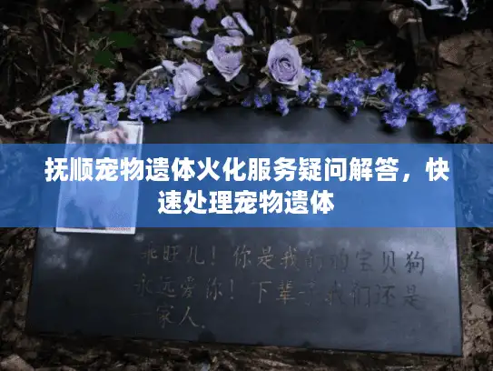 抚顺宠物遗体火化服务疑问解答，快速处理宠物遗体
