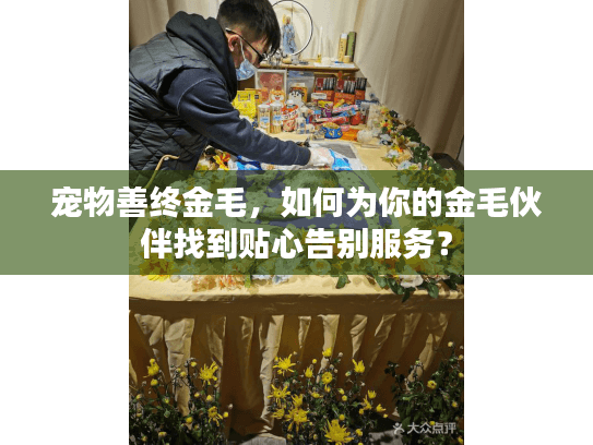 宠物善终金毛，如何为你的金毛伙伴找到贴心告别服务？