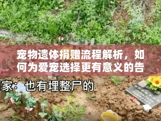 宠物遗体捐赠流程解析，如何为爱宠选择更有意义的告别方式？