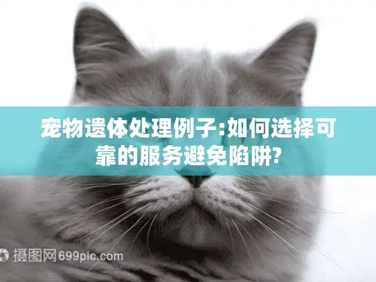 宠物遗体处理例子:如何选择可靠的服务避免陷阱? 宠物遗体处理例子:如何选择可靠的服务避免陷阱?