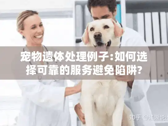 宠物遗体处理例子:如何选择可靠的服务避免陷阱? 宠物遗体处理例子:如何选择可靠的服务避免陷阱?