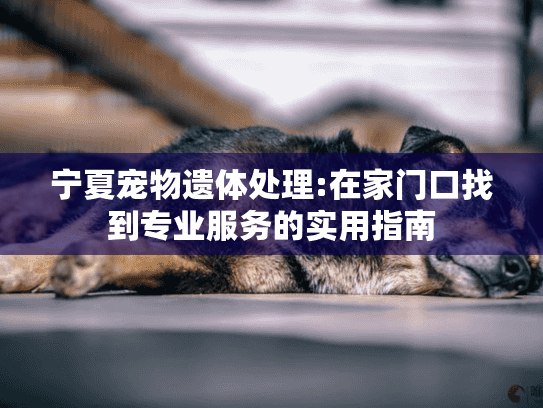 宁夏宠物遗体处理:在家门口找到专业服务的实用指南 宁夏宠物遗体处理:在家门口找到专业服务的实用指南