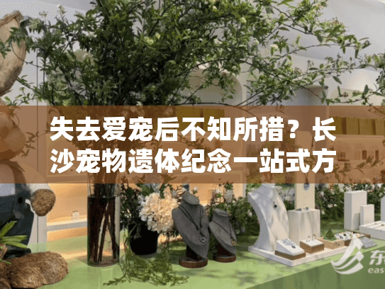 失去爱宠后不知所措？长沙宠物遗体纪念一站式方案解忧