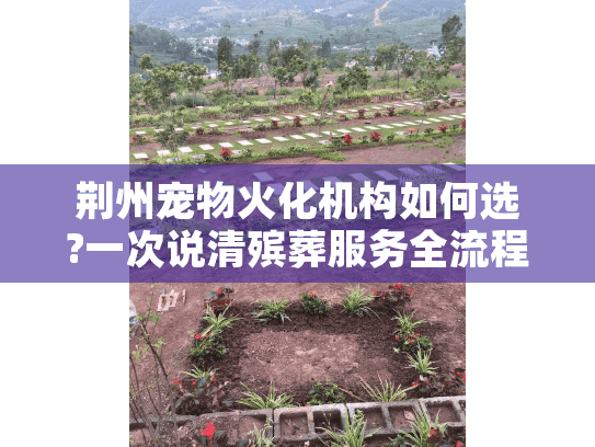 荆州宠物火化机构如何选?一次说清殡葬服务全流程与避坑指南