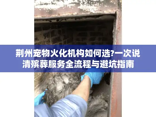 荆州宠物火化机构如何选?一次说清殡葬服务全流程与避坑指南