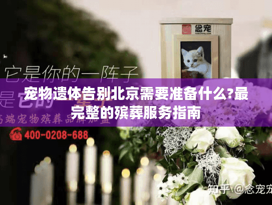 宠物遗体告别北京需要准备什么?最完整的殡葬服务指南