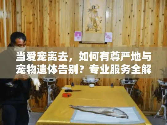 当爱宠离去，如何有尊严地与宠物遗体告别？专业服务全解析
