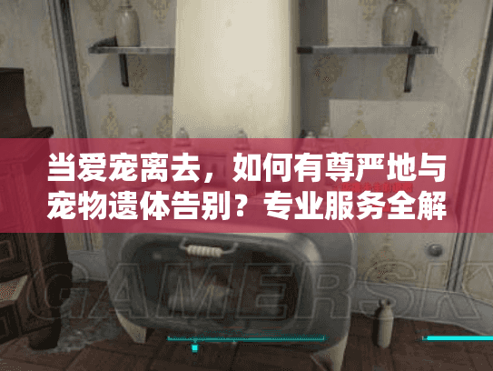 当爱宠离去，如何有尊严地与宠物遗体告别？专业服务全解析